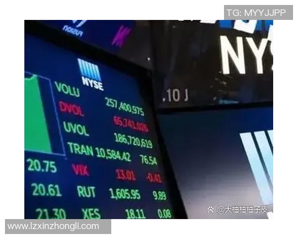 中国赌资与中国期资的对比分析与市场影响探讨 中国赌资与中国期资的对比分析与市场影响探讨