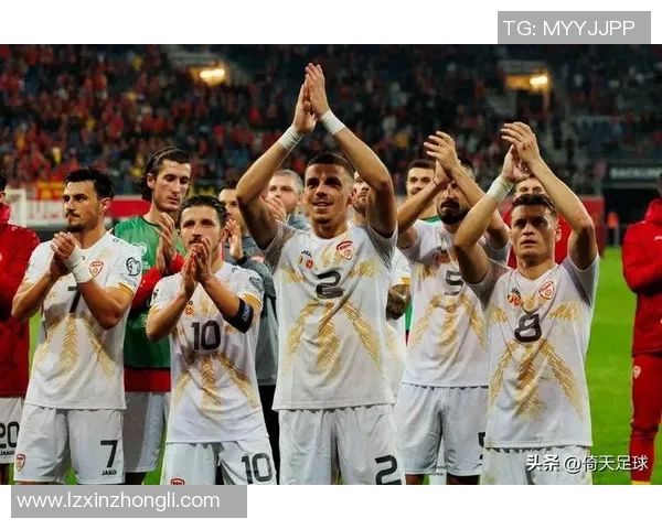 挪威与北马其顿足球明星阵容全面解析与对比分析